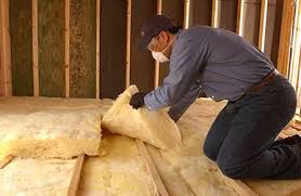 Best Wall Insulation Installation  in Park Rapids, MN